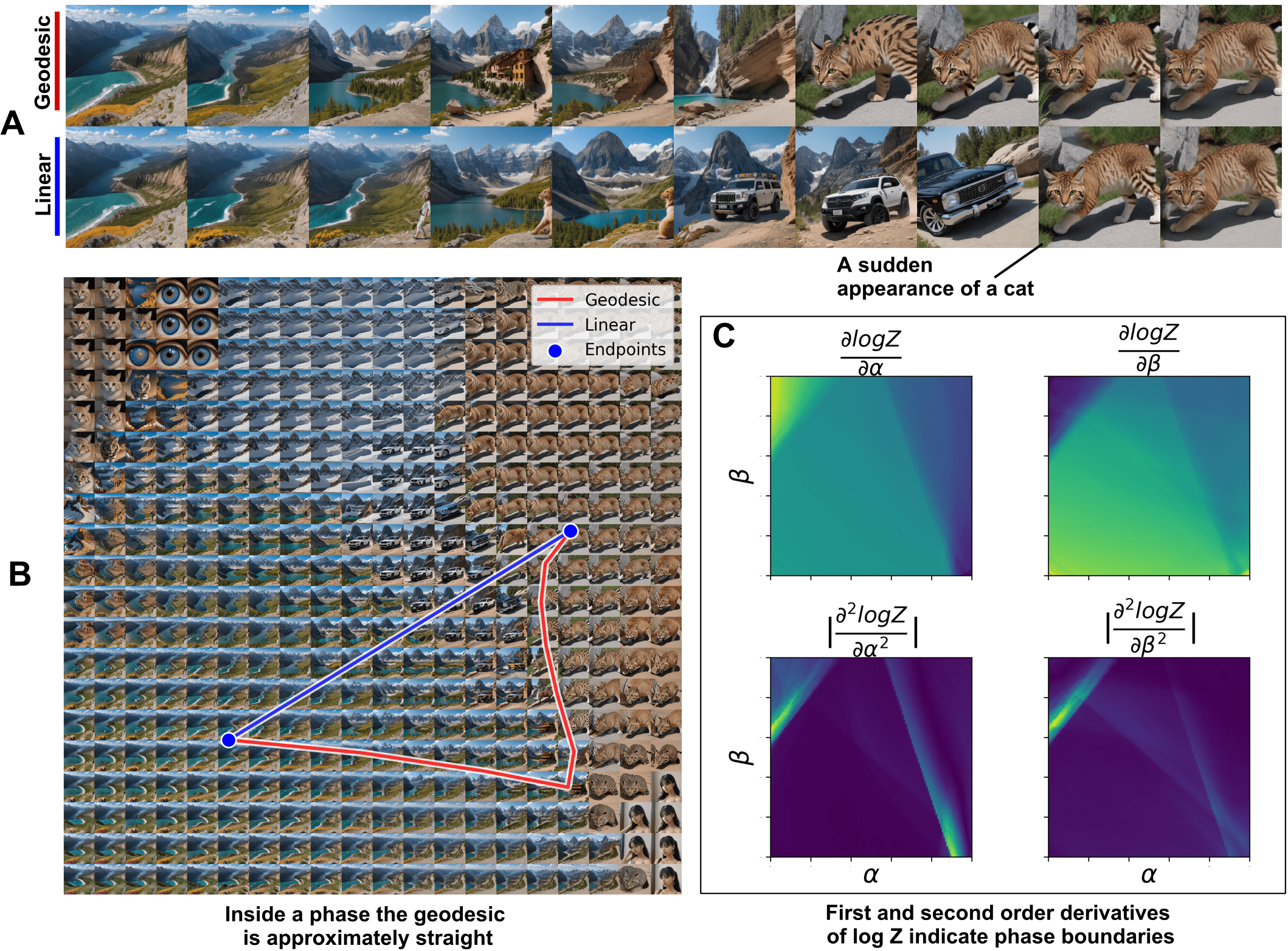(A) Geodesic (ours) and linear interpolation between images. Note that our interpolation variant is more perceptually smooth. (B) Illustration of 60 000 generated by StableDiffusion images with geodesic plots (C) First and second derivatives of the log-partition function of diffusion model. Note, that second derivatives are diagonal components of the Fisher metric.